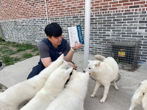 HY 임직원, 12년째 유기견 보호소 봉사